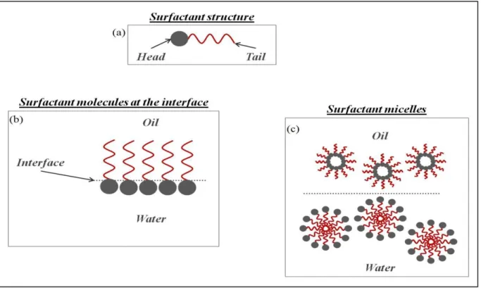 Fig. 1.2.2 shows clearly the effect of the surfactants concentration (‘C’) on the interfacial 