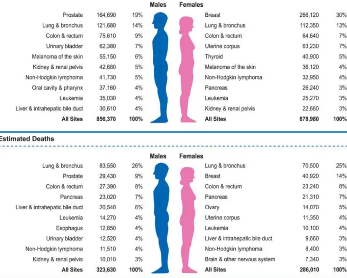 Figure 2: Ten leading cancer types for the estimated new cancer cases and deaths by  sex, United  States, 2018 (Siegel et al, 2018) 