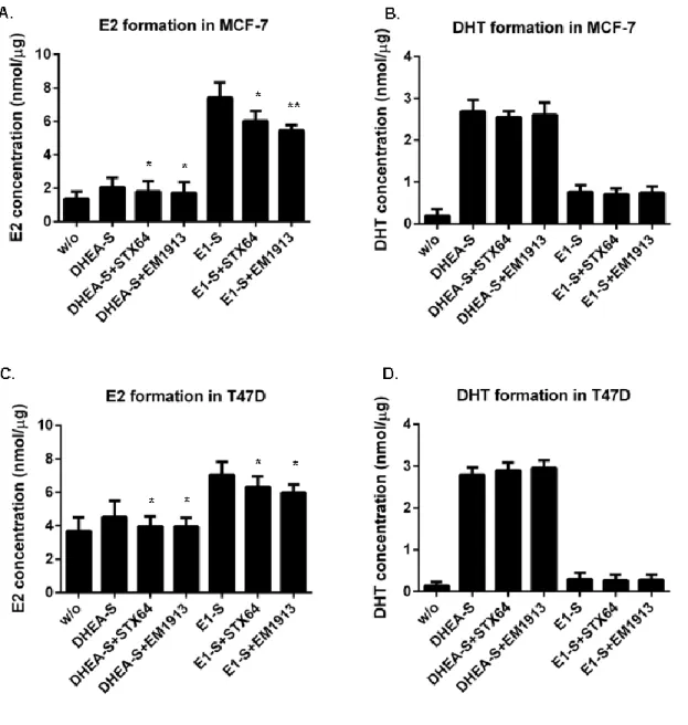 Figure 1.2: E2 and DHT formation in MCF-7 and T47D cells treated with STX64  or EM1913 