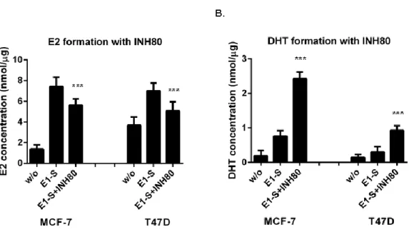 Figure 1.3:  E2 and DHT formation with 17β-HSD7 inhibitor INH80 in MCF-7 and  T47D cells 