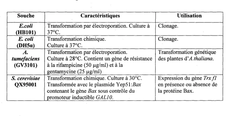 Tableau 1. Liste des microorganismes utilises. 