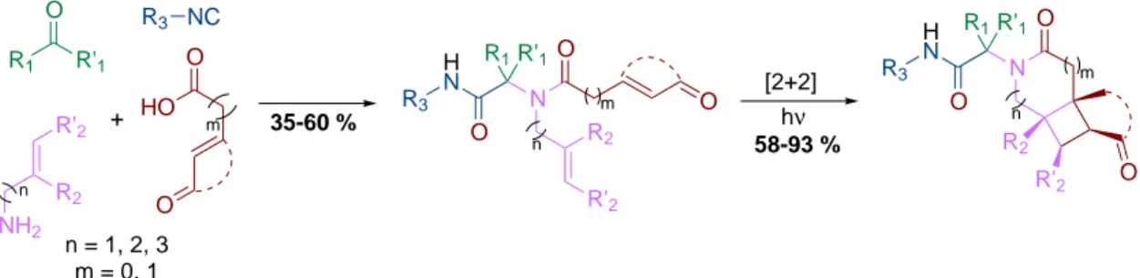 Figure 2.37 – Réaction tandem Ugi/photocycloaddition.