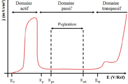 Figure  I-7    Courbe  de  polarisation  anodique  typique  d’un  acier  inoxydable  dans  un  électrolyte acide