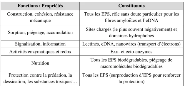 Tableau I-1  Fonctions associées aux EPS présents au sein des biofilms [Block, 2016]. 