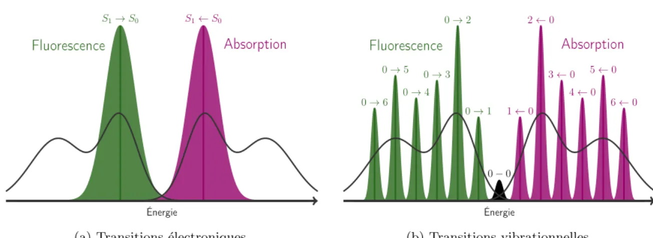 Figure 3.3 – Bande complexe d’absorption et de fluorescence simul´ees grˆ ace aux transitions ´electro-