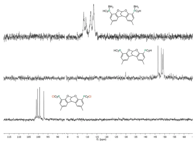 Figure 32: The  31 P{ 1 H}–NMR spectra demonstrate that using R = Cy the synthesis of pure secondary phosphine 