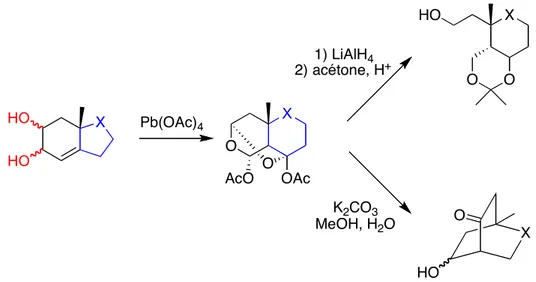 Figure 3 : Possibilités d’obtention des cyclohexanes fonctionnalisés via une réaction de « domino » 