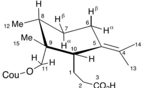 Figure 2 : Conformation proposée par Lee 