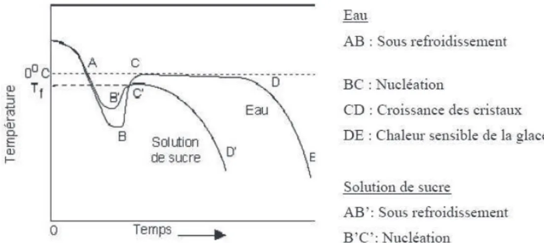 Figure 1. 4.  Abaissement du point de congélation de leau dans une solution aqueuse (Goff, 1995) 