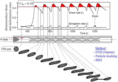 Figure I.9 – Illustration de l’impact du couple temps-déformation sur la rupture d’une goutte en écoulement (Windhab et al., 2005)