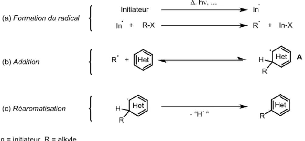Figure I-12 : Mécanisme général d’addition d’un radical sur un composé hétéroaromatique