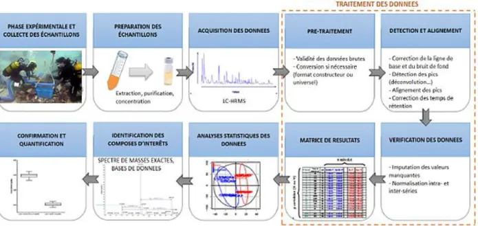 Figure 17. Les différentes étapes d’une analyse non-ciblée par spectrométrie de masse à  haute résolution (adapté de la thèse de K