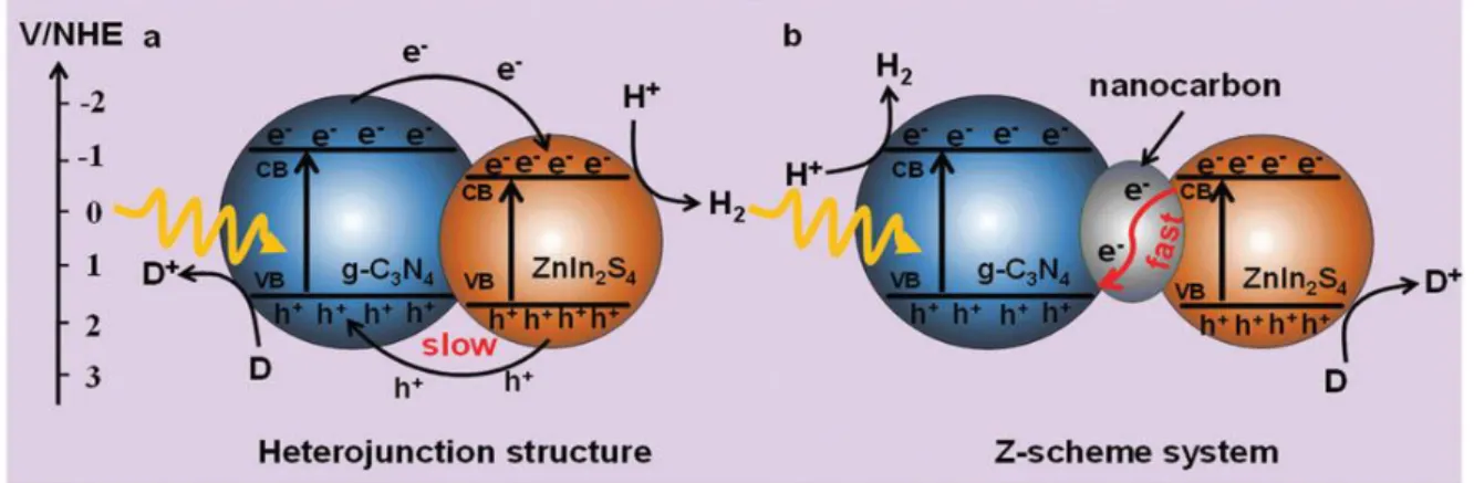 Figure  2.10 :  Possible  electron  transfer  mechanisms  of  (a)  the  CN/ZIS  heterojunction 