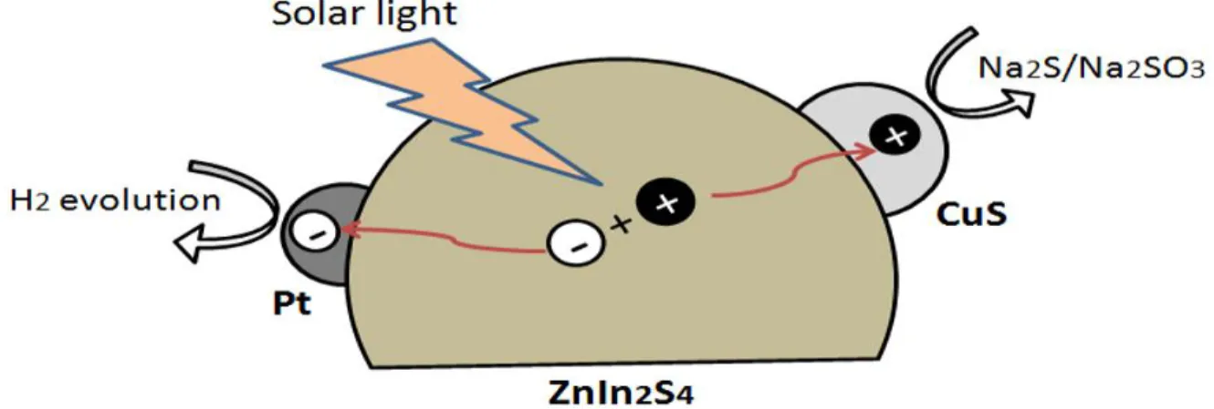 Figure  2.11 :  Schematic  illustration  of  photo-generated  charge-transfer  process  for 