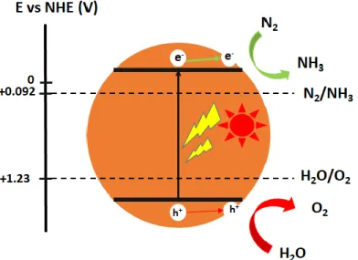 Figure 2.19: Schematic of semiconductor-based photocatalyst used for the N 2  fixation