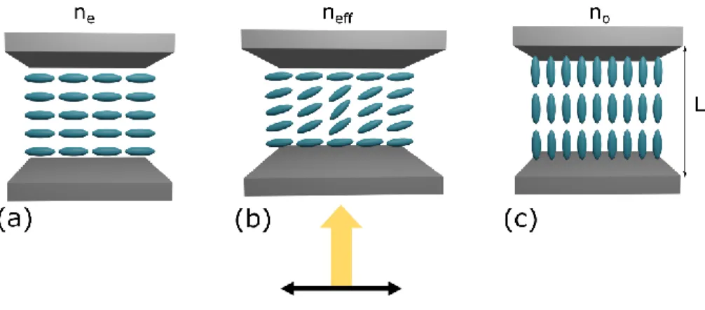 Figure I.7. Dependence of refractive index encountered by incident beam on director orientation  (black arrow – direction of polarization, yellow arrow – direction of propagation)
