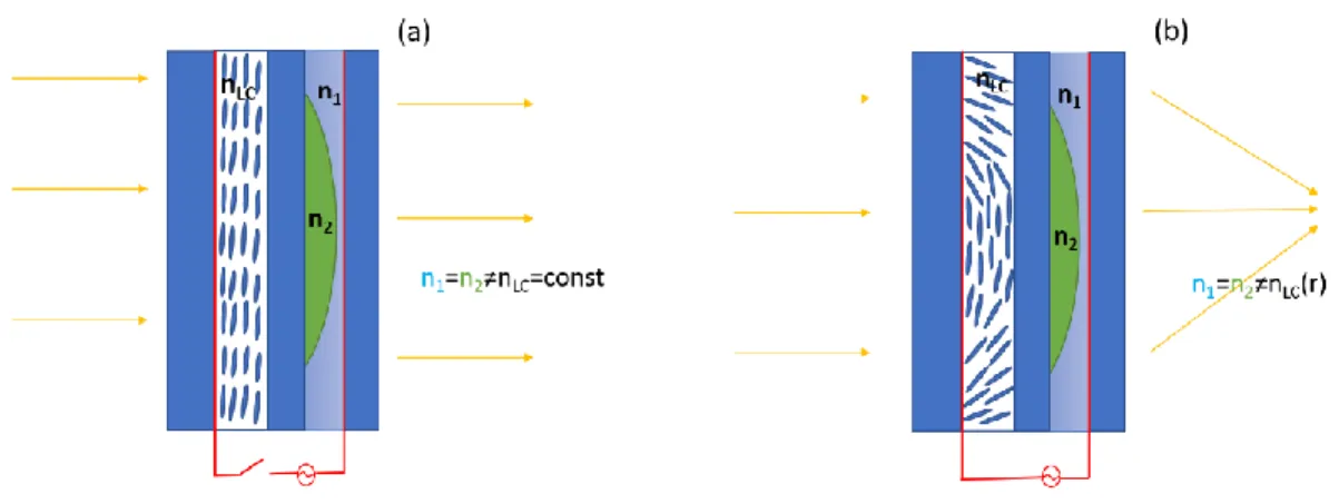 Figure I.13. Schematic demonstration of the hidden layer LC lens with (a) zero control voltage and  (b) applied voltage