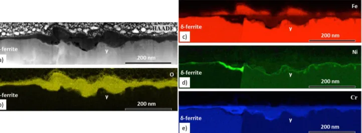 Figure  9  a)  Micrographie  STEM-HAADF  des  couches  d’oxyde  formées  d’un  coupon  d’acier  inoxydable  304  forgé  (20%  de  réduction  d’épaisseur,  entre  170  et  360°C)  oxydé  500h  en  milieu  primaire nominal à 300°C