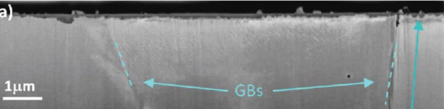 Figure  10  Micrographie  MEB  en  coupe  d’un  acier  304  non  prédéformé  oxydé  1500h  à  360°C