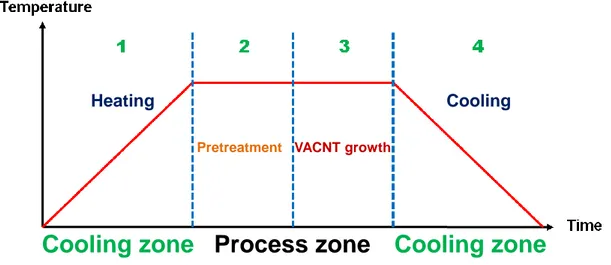 Figure 2.6: General procedure of the synthesis of VACNTs by dHF-CVD approach.