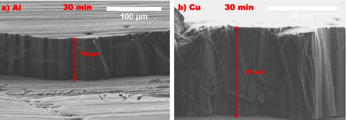 Figure 2.10: Cross-sectional SEM images of VACNTs carpets grown on Al (left) and Cu (right) substrates during 30 minutes.