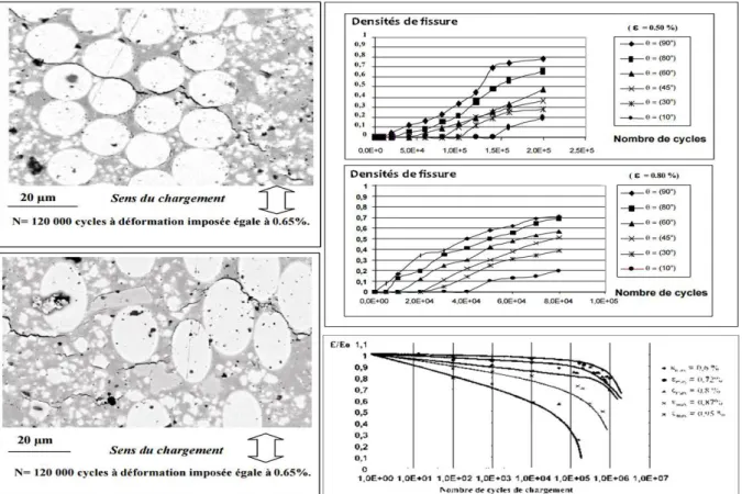 Figure 9 : Etude expérimentale de l’endommagement d’un matériau SMC en fatigue (1) 