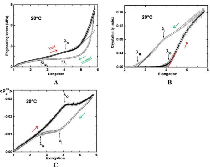 Figure 1-9 - Highlight of the SIC phenomenon with a load-unload cycle on unfilled NR: (A) experimental tensile  curve  (scatter)  and  extrapolated  curve  without  SIC  (line),  (B)  crystallinity  index  and  (C)  <P 2 RX >  orientation 