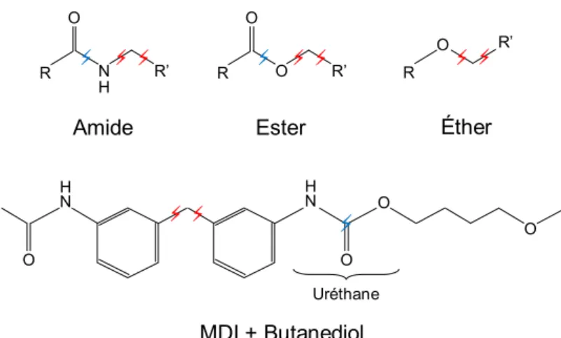 Figure 1-13 – hydrolysis (blue) and oxidation (red) main sites for specific TPE chemical group