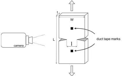 Figure 2-4 - schematic representation of an EWF test on a DDENT specimen. l