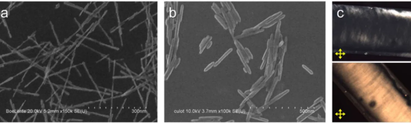 Figure  1.14.  SEM  images  of  boehmite  nanorods  synthesized  by  slow  hydrothermal 