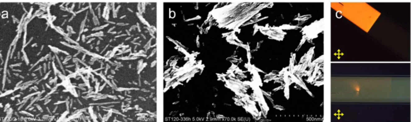 Figure  1.15.  SEM  images  of  aggregated  rutile  nanorods  synthesized  with  the  reaction 