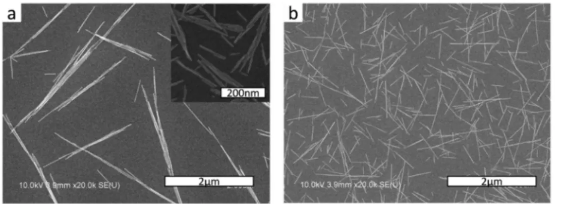 Figure 2.5. (a) Aggregated LaPO 4  nanorods and their aggregated primary particles before 