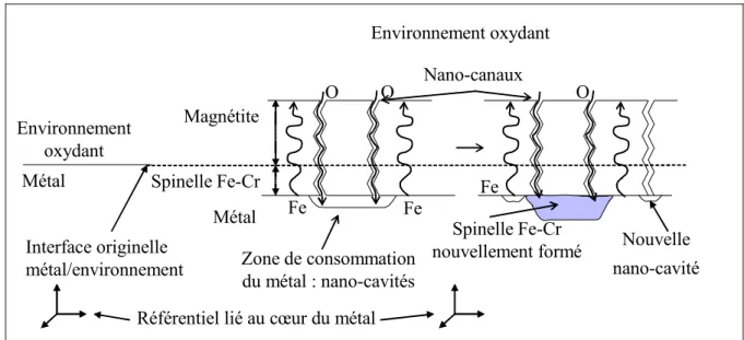 Figure 41 : mécanisme de formation des couches d'oxyde fondé sur l'&#34;available space model&#34;