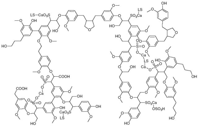Figure I-12. Structure de lignosulfonates de calcium proposée par Kim et al., (2008) 