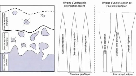 Figure  1.1  Représentation  schématique  des  limites  d 'a ires  de  répartition  des  espèces 