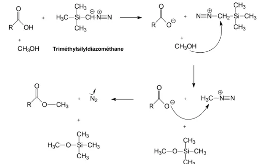 Figure 7 : Mécanisme de méthylation de fonction acides acryliques à l’aide du triméthylsisyldiazométhane