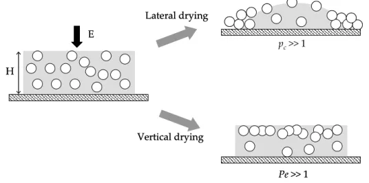 Figure  1-17.  Two  typical  situations  which  can  occur  during  water  evaporation  through  lateral  and  vertical drying processes