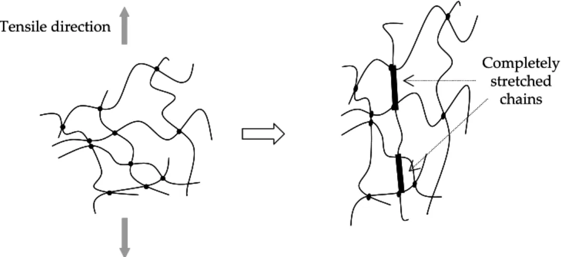 Figure 1-27. Schematics of the maximal extensibility of stretched polymer chains. 