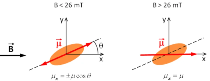 Figure 2.9 – Orientation du moment magnétique d’un grain dans une bille selon la valeur du champ magnétique.