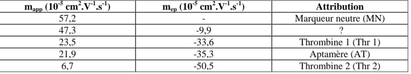 Tableau 6 : attribution des pics de l’électrophérogramme obtenu lors de l’analyse par CZE du mélange  incubé aptamère-thrombine (cf