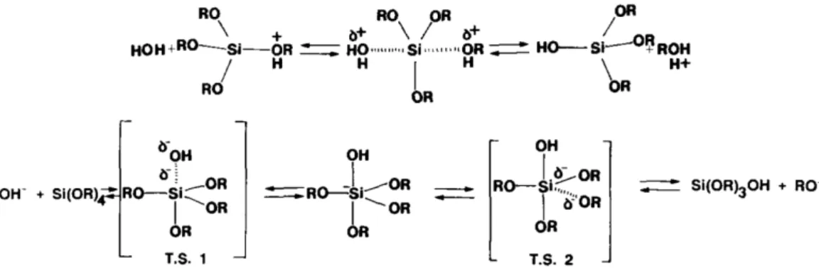 Figure 15 : Mécanisme d’hydrolyse d’un tetraalcoxysilane en catalyse acide (en haut) ou basique (en 