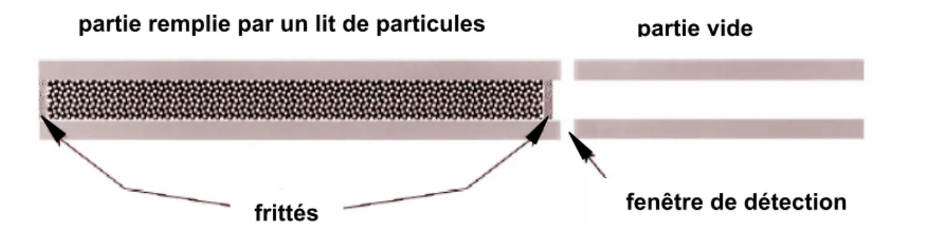 Figure 1: schéma descriptif des divers constituants d’un capillaire rempli par des particules de silice  [1]