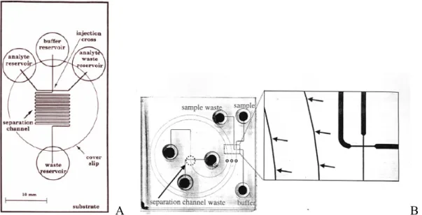 Figure 20 : Schéma de microsystèmes séparatifs électrophorétiques. Les puits sont désignés selon leur  utilisation et sont reliés par des microcanaux