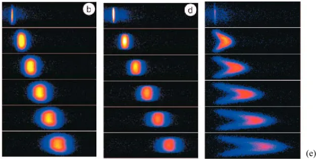 Figure 22 : Images du flux électroosmotique dans un microcanal en PDMS (b), dans un capillaire de  silice vierge (d)