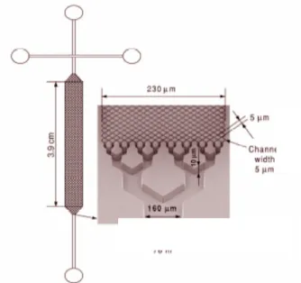 Figure 25 : Représentation schématique et image MEB d’une colonne COMOSS comportant les  dimensions des canaux [138]