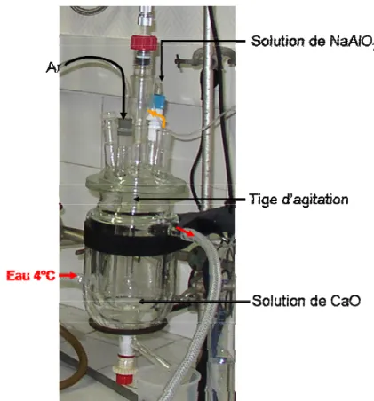 Figure 7 : Montage mis en place pour la synthèse des phases OH-AFm et polymère-AFm 