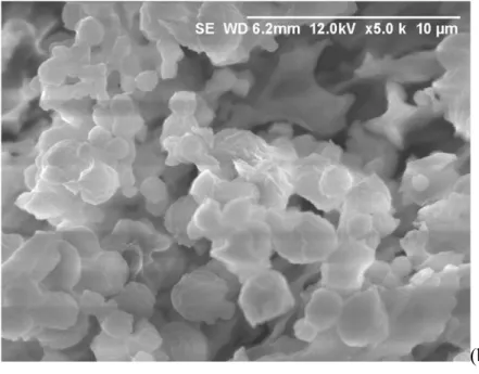 Figure 17 : Images MEB des poudres des phases organo-minérales obtenues par addition retardée des  polymères x3,1(N8,3)P23 (a) et x5(N5)P23 (b), (c) 