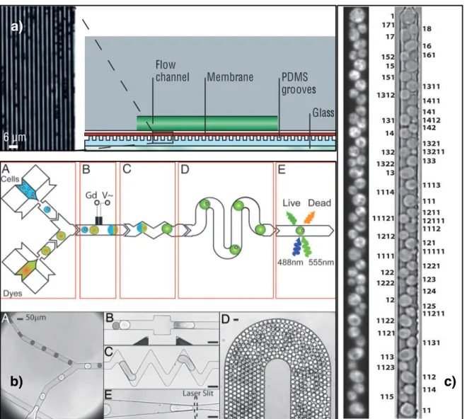 Figure 2.5 – Microbioréacteurs uni-dimensionnels et micro-gouttes. a) Système microfluidique pour l’analyse de la persistance chez Escherichia coli [Balaban et al., 2004]