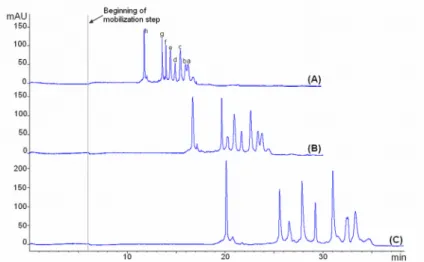 Figure 2. CIEF separation of protein test mixture using different anolytes and catholytes