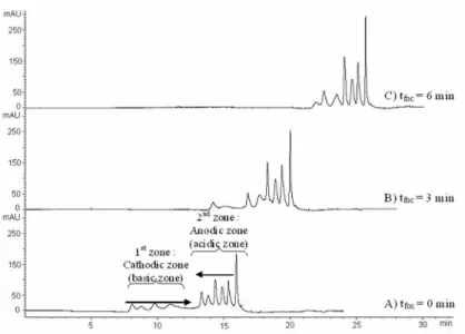 Figure 3 : Influence of focusing time on the separation of protein mixture 1 (pI 5.65-8.3)